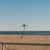 New York : Palmier