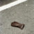 New York : Le gant
